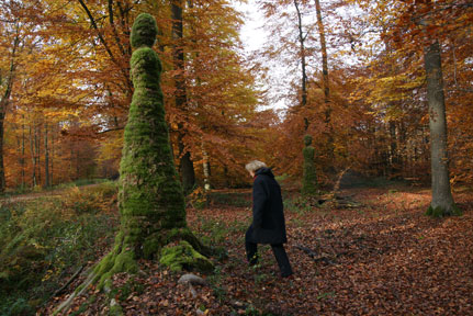 Hüter der Lichtung