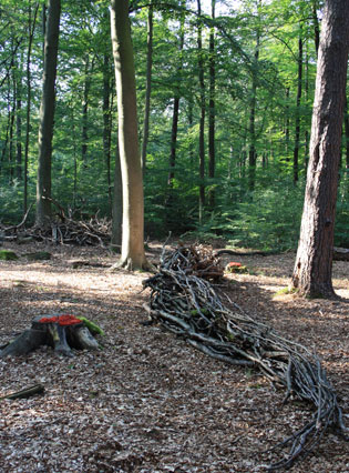 Auf Schlangenlinien ins Quellgebiet | dicke Schlange
