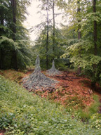 Hüter der Lichtung